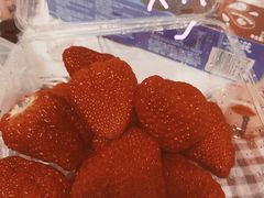 -红星农博物流中心