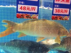 -山河屯铁锅炖(哈西站店)