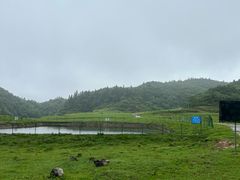 -山王坪喀斯特国家生态公园