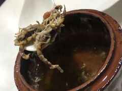 -達揚原味燉品(文明路店)