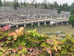 -原山国家森林公园