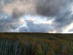 -塞罕坝国家级自然保护区