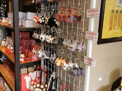 -猫咪博物馆(顶澳仔猫街店)