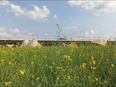 -光明小镇欢乐田园