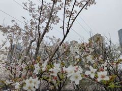 -西北湖绿化广场