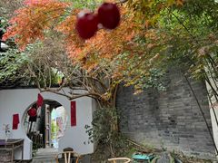 -古今茶语·峨眉山有机茶体验馆