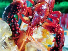 -霸王虾·麻辣小龙虾(清水河公园店)