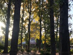 -回龙观体育文化公园