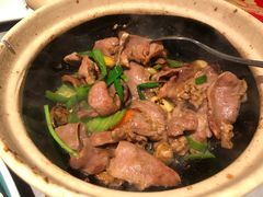 沙姜啫猪脷-啫神·广州地标美食(北京路店)