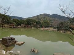 -宝岩生态观光园