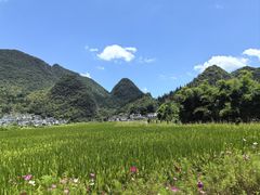 -万峰林风景区