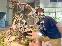 -自贡恐龙博物馆