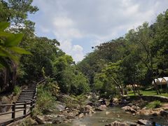 -广州白江湖森林公园