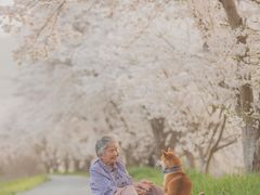 -乐宠动物医院