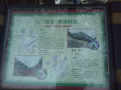 -广州市石门国家森林公园
