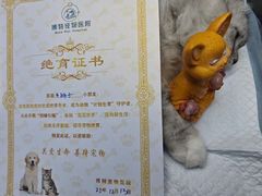 -博特宠物医院24h犬猫全科.骨科·异宠