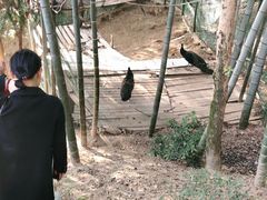 -故乡缘·香格里拉山庄(冷竹路店)