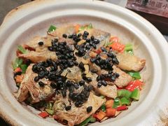 -张家卫·阳江菜·小海鲜(肥婆湾桥店)