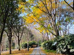 -白塘生态植物园