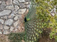 -苏州环秀晓筑养生度假村