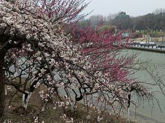-白塘生态植物园
