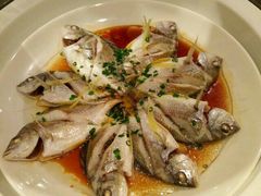 android_upload_pic-厦门宝龙铂尔曼大酒店·海鲜自助餐厅
