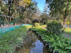 -广东花都香草世界旅游度假区