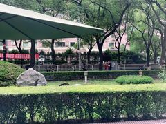 -维乐口腔(格林门诊长宁店)