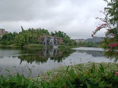 -东岳体育公园
