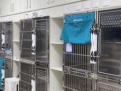 -美联众合动物医院·24h转诊中心