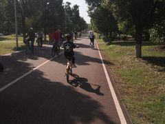 -白鹭湾湿地公园