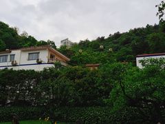 -黔灵山公园