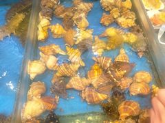 -添福来墨鱼饺子 · 海鲜东北菜(大连星海·黄浦路店)