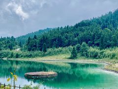 -武陵山森林公园