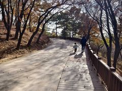 -磬锤峰森林公园