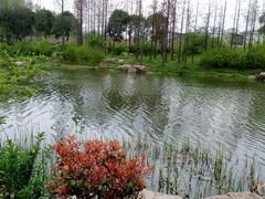 -新江湾城公园