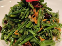 -海派美食·家宴海鲜青岛菜·石锅鲽鱼头(东方城店)