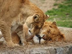 -西安秦岭野生动物园