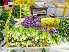 -珠光市场(文德南路)