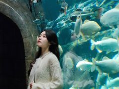 -波塞冬旅游度假区