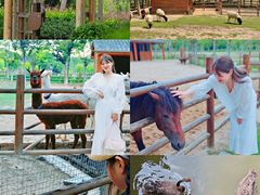 -南京市无想山景区