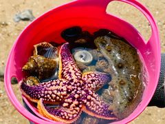 -东戴河风景区-止锚湾