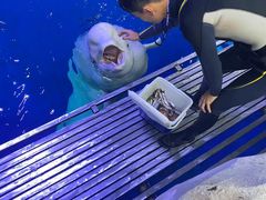 -秦皇岛乐岛海洋王国