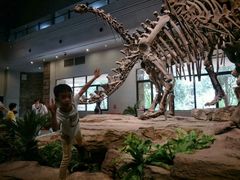 -自贡恐龙博物馆