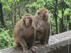 -黔灵山公园