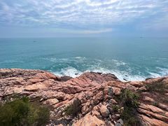 -广东惠东海龟国家级自然保护区