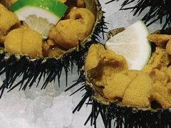 -连鹭海鲜·海肠捞饭·海胆饭(星海店)