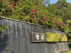 -云溪植物园