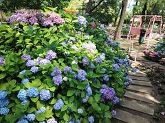 -沈阳植物园