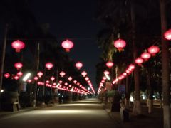 -万绿园